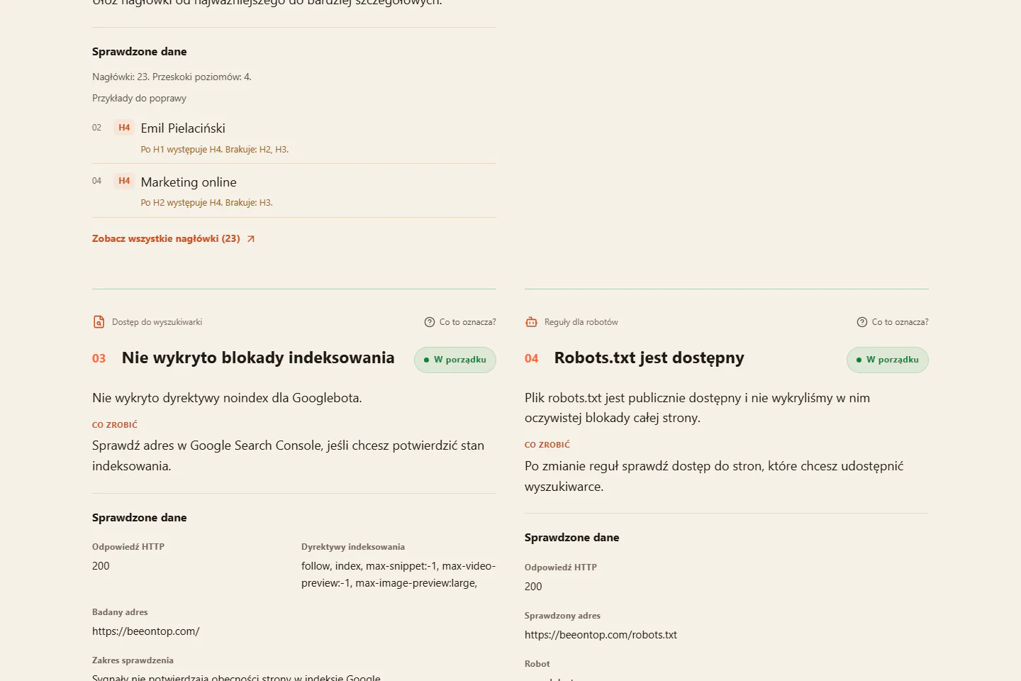 MojeSEO: szczegóły techniczne raportu w jasnym motywie